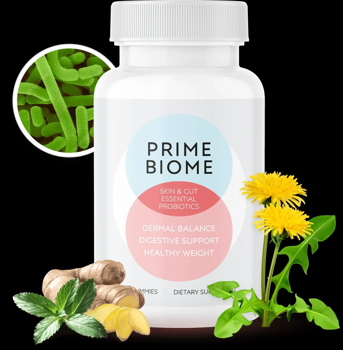 PrimeBioMe Main
